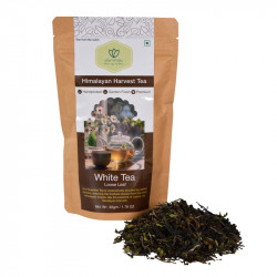 Pure & Premium White Tea | Natural Handpicked Teas from Kanchenjunga