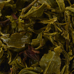 Pure & Premium Green Tea | Natural Handpicked Tea from Darjeeling Hill