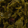 Pure & Premium Green Tea | Natural Handpicked Tea from Darjeeling Hill