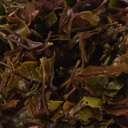 Pure & Premium White Tea | Natural Handpicked Teas from Kanchenjunga