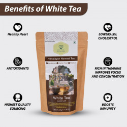 Pure & Premium White Tea | Natural Handpicked Teas from Kanchenjunga