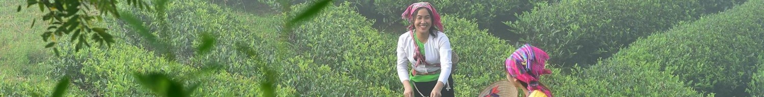 சிறப்பு சலுகை! இப்போது 10% தள்ளுபடி பெறுங்கள் – கூப்பன் குறியீடு: JSG7QWB1